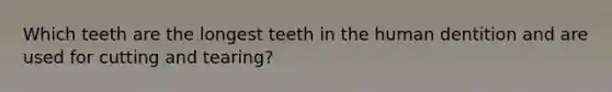 Which teeth are the longest teeth in the human dentition and are used for cutting and tearing?