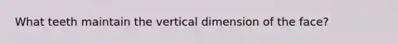 What teeth maintain the vertical dimension of the face?