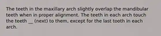 The teeth in the maxillary arch slightly overlap the mandibular teeth when in proper alignment. The teeth in each arch touch the teeth __ (next) to them, except for the last tooth in each arch.