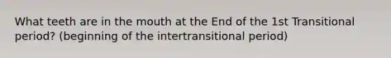 What teeth are in the mouth at the End of the 1st Transitional period? (beginning of the intertransitional period)