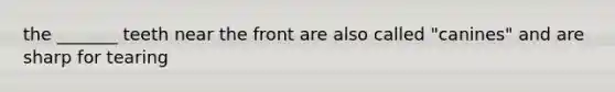the _______ teeth near the front are also called "canines" and are sharp for tearing