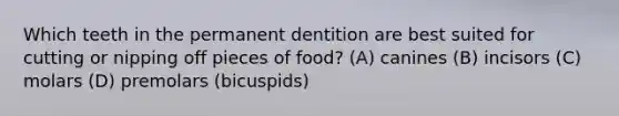 Which teeth in the permanent dentition are best suited for cutting or nipping off pieces of food? (A) canines (B) incisors (C) molars (D) premolars (bicuspids)