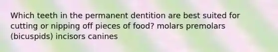 Which teeth in the permanent dentition are best suited for cutting or nipping off pieces of food? molars premolars (bicuspids) incisors canines