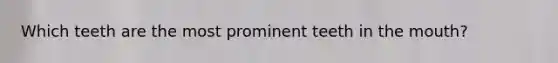 Which teeth are the most prominent teeth in the mouth?