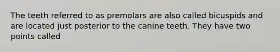 The teeth referred to as premolars are also called bicuspids and are located just posterior to the canine teeth. They have two points called