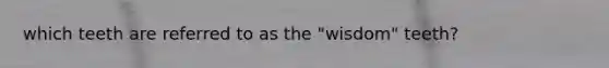 which teeth are referred to as the "wisdom" teeth?