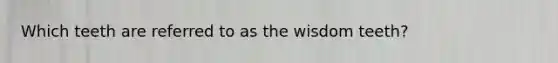 Which teeth are referred to as the wisdom teeth?