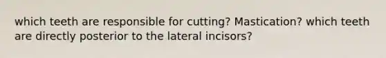 which teeth are responsible for cutting? Mastication? which teeth are directly posterior to the lateral incisors?