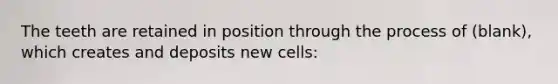 The teeth are retained in position through the process of (blank), which creates and deposits new cells: