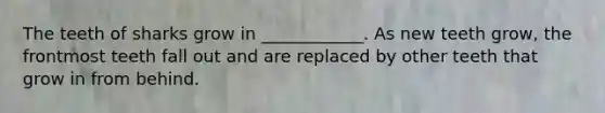 The teeth of sharks grow in ____________. As new teeth grow, the frontmost teeth fall out and are replaced by other teeth that grow in from behind.