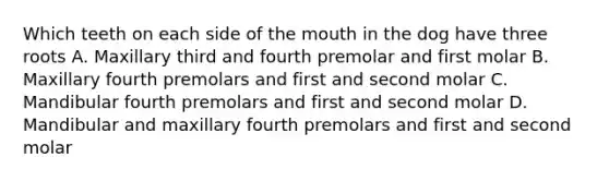 Which teeth on each side of the mouth in the dog have three roots A. Maxillary third and fourth premolar and first molar B. Maxillary fourth premolars and first and second molar C. Mandibular fourth premolars and first and second molar D. Mandibular and maxillary fourth premolars and first and second molar