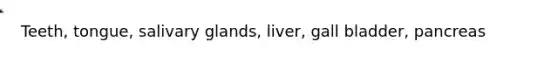 Teeth, tongue, salivary glands, liver, gall bladder, pancreas