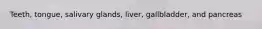 Teeth, tongue, salivary glands, liver, gallbladder, and pancreas