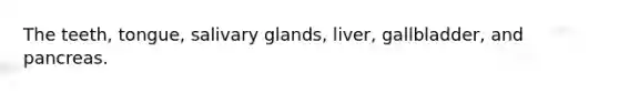 The teeth, tongue, salivary glands, liver, gallbladder, and pancreas.