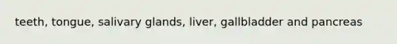 teeth, tongue, salivary glands, liver, gallbladder and pancreas