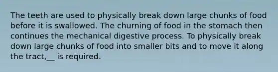 The teeth are used to physically break down large chunks of food before it is swallowed. The churning of food in the stomach then continues the mechanical digestive process. To physically break down large chunks of food into smaller bits and to move it along the tract,__ is required.