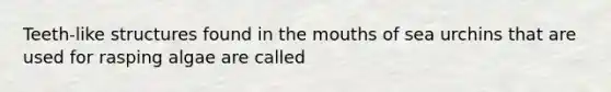 Teeth-like structures found in the mouths of sea urchins that are used for rasping algae are called