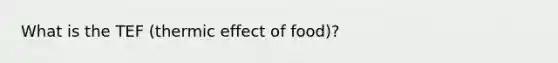 What is the TEF (thermic effect of food)?