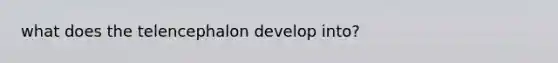 what does the telencephalon develop into?