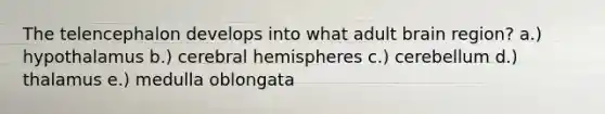 The telencephalon develops into what adult brain region? a.) hypothalamus b.) cerebral hemispheres c.) cerebellum d.) thalamus e.) medulla oblongata