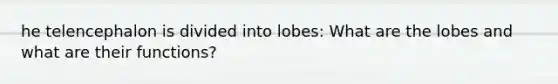 he telencephalon is divided into lobes: What are the lobes and what are their functions?