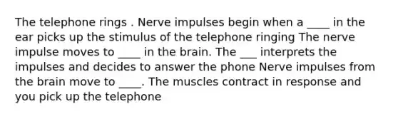 The telephone rings . Nerve impulses begin when a ____ in the ear picks up the stimulus of the telephone ringing The nerve impulse moves to ____ in <a href='https://www.questionai.com/knowledge/kLMtJeqKp6-the-brain' class='anchor-knowledge'>the brain</a>. The ___ interprets the impulses and decides to answer the phone Nerve impulses from the brain move to ____. The muscles contract in response and you pick up the telephone