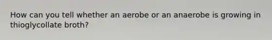 How can you tell whether an aerobe or an anaerobe is growing in thioglycollate broth?