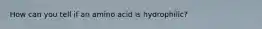 How can you tell if an amino acid is hydrophilic?