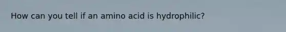 How can you tell if an amino acid is hydrophilic?