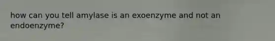 how can you tell amylase is an exoenzyme and not an endoenzyme?