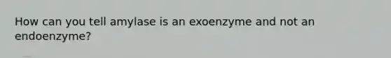 How can you tell amylase is an exoenzyme and not an endoenzyme?