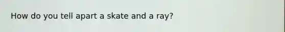 How do you tell apart a skate and a ray?