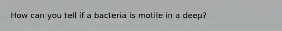 How can you tell if a bacteria is motile in a deep?