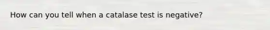 How can you tell when a catalase test is negative?