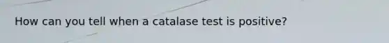 How can you tell when a catalase test is positive?