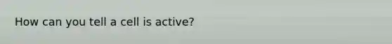 How can you tell a cell is active?