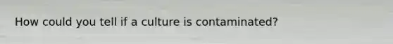 How could you tell if a culture is contaminated?