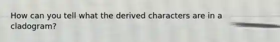 How can you tell what the derived characters are in a cladogram?