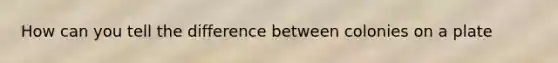 How can you tell the difference between colonies on a plate