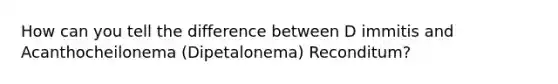 How can you tell the difference between D immitis and Acanthocheilonema (Dipetalonema) Reconditum?