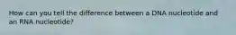 How can you tell the difference between a DNA nucleotide and an RNA nucleotide?