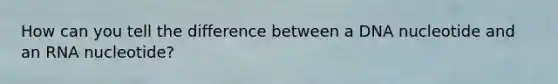 How can you tell the difference between a DNA nucleotide and an RNA nucleotide?