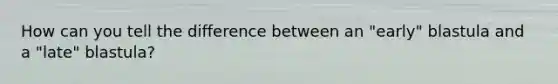 How can you tell the difference between an "early" blastula and a "late" blastula?