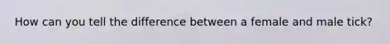 How can you tell the difference between a female and male tick?