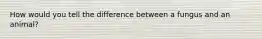 How would you tell the difference between a fungus and an animal?