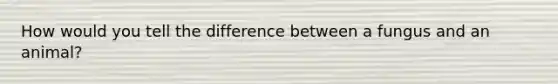 How would you tell the difference between a fungus and an animal?