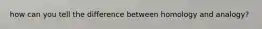 how can you tell the difference between homology and analogy?