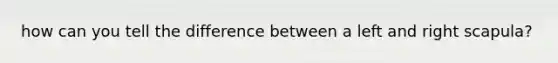 how can you tell the difference between a left and right scapula?