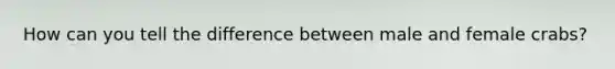 How can you tell the difference between male and female crabs?