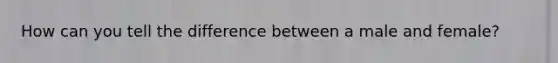 How can you tell the difference between a male and female?